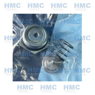 012621 Válvula Retenção de Carga CH100