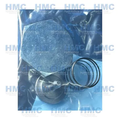  012621 Válvula Retenção de Carga CH100 - 2