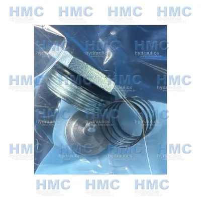  012621 Válvula Retenção de Carga CH100 - 3