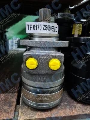  TF 0170 ZS060EEEC Motor Hidráulico - 2