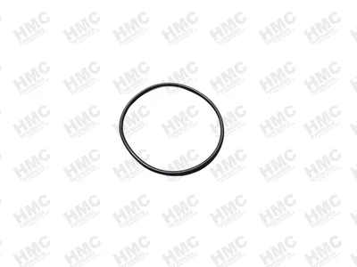391-2881-457 Anel O Ring P76