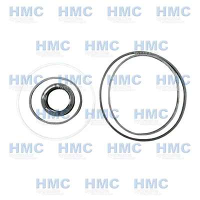 S24-10133-5 Conjunto Vedação T6C / T6CM Eixos 1/2/3/4 Viton