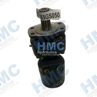  TF0365GS050AAAA Motor Hidráulico - 2