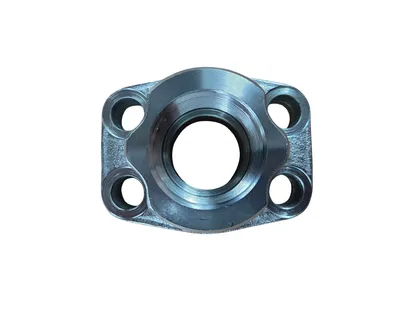 HMC08N Flange SAE - Flange de Ligação p/ Pórticos
1 Polegada NPT - 02300002